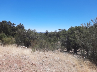 Very Secluded - image 9
