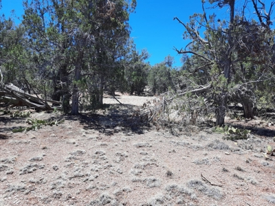Very Secluded - image 4