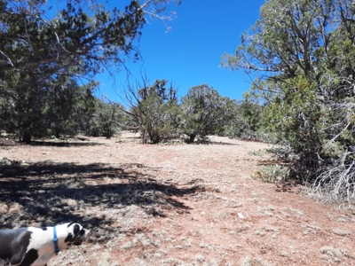 Very Secluded - image 6