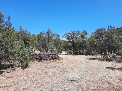 Very Secluded - image 8