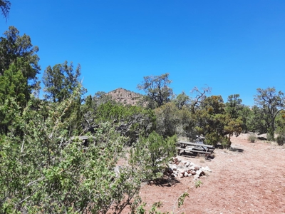Very Secluded - image 15