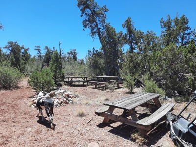 Very Secluded - image 12