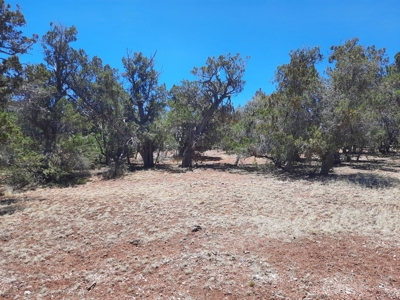Very Secluded - image 7
