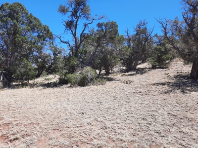 Very Secluded - image 5