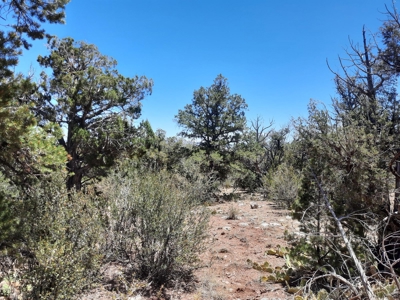 Very Secluded - image 17