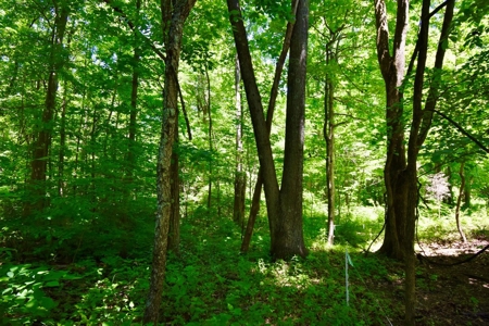 Indiana Country Home, Horse Farm For Sale - image 34