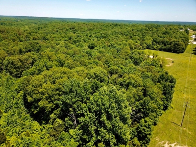 Indiana Country Home, Horse Farm For Sale - image 9