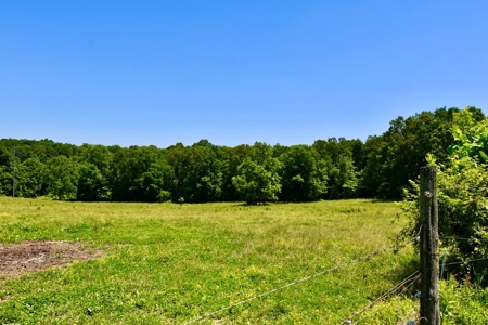 Indiana Country Home, Horse Farm For Sale - image 27