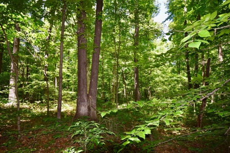 Indiana Country Home, Horse Farm For Sale - image 36