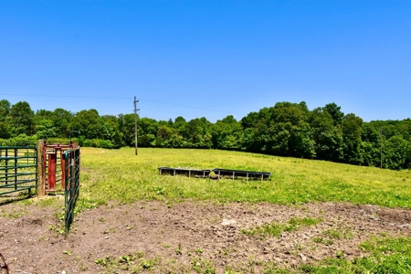 Indiana Country Home, Horse Farm For Sale - image 28