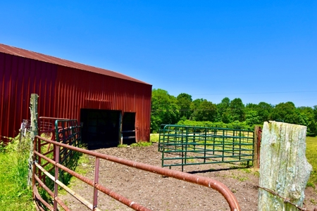 Indiana Country Home, Horse Farm For Sale - image 29