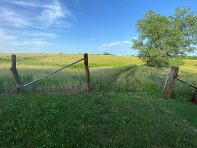 Savannah, MO Land Auction - image 17