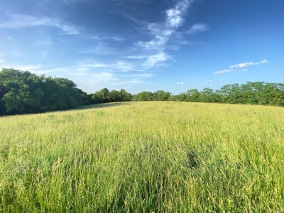 Savannah, MO Land Auction - image 23