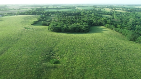 Savannah, MO Land Auction - image 36