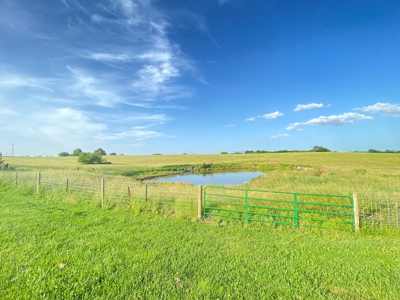 Savannah, MO Land Auction - image 18
