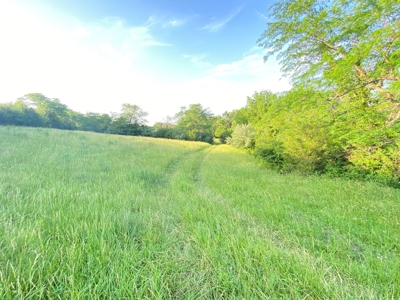 Savannah, MO Land Auction - image 33
