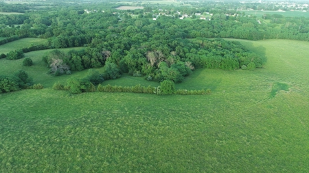 Savannah, MO Land Auction - image 37