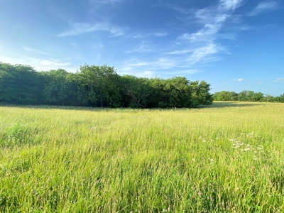 Savannah, MO Land Auction - image 24