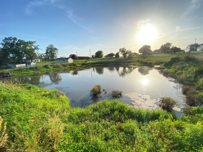 Savannah, MO Land Auction - image 21