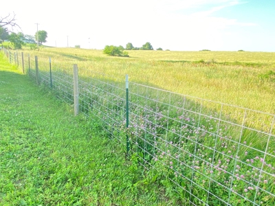 Savannah, MO Land Auction - image 16