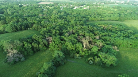 Savannah, MO Land Auction - image 47