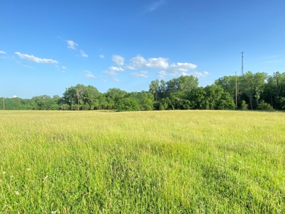 Savannah, MO Land Auction - image 26