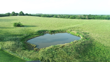Savannah, MO Land Auction - image 22