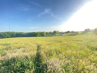 Savannah, MO Land Auction - image 27