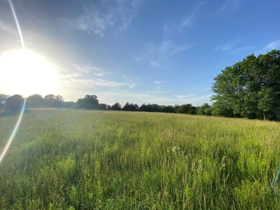 Savannah, MO Land Auction - image 28