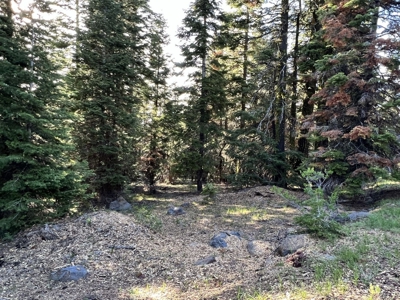 Contingent parcels trees recreational flat land - image 6