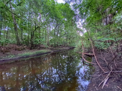 Gorgeous Waccasassa River Front Property! - image 1