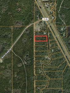 Gorgeous Waccasassa River Front Property! - image 8
