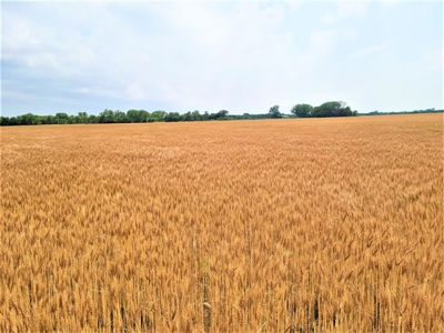 Kansas Farm For Sale - image 1