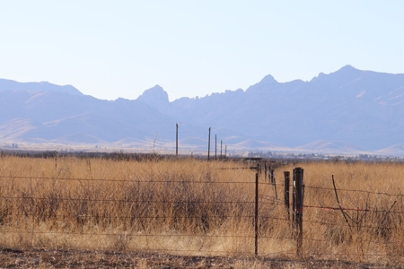 Scenic 4 acre lot Near Willcox, AZ - image 3