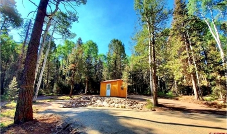 Mountain RV Lot in Cimarron Colorado - image 10