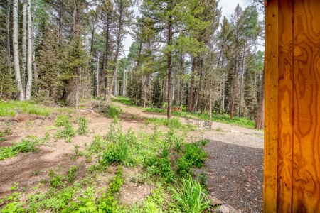 Mountain RV Lot in Cimarron Colorado - image 13
