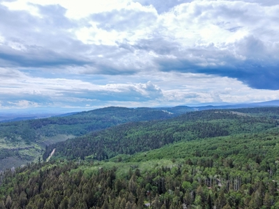 Mountain RV Lot in Cimarron Colorado - image 16