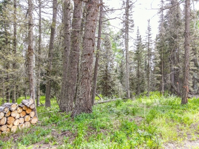 Mountain RV Lot in Cimarron Colorado - image 17