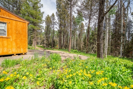 Mountain RV Lot in Cimarron Colorado - image 12