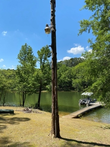Welcome To Rudd's Creeks Getaway On Kerr Lake, VA - image 13
