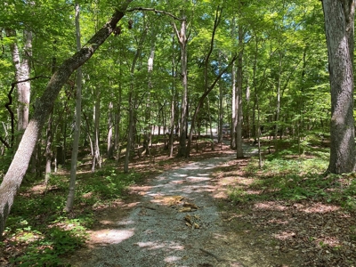 Welcome To Rudd's Creeks Getaway On Kerr Lake, VA - image 11