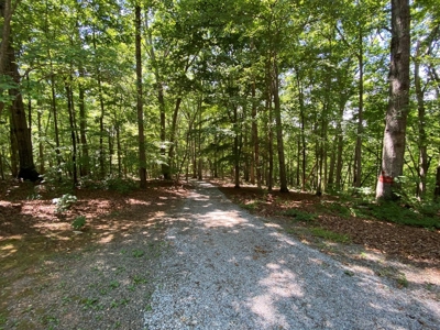 Welcome To Rudd's Creeks Getaway On Kerr Lake, VA - image 10