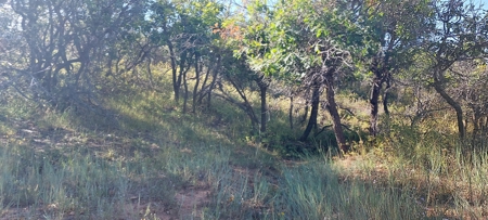 Secret Canyon Ranch -Mountain Off Grid Recreation Wildlife - image 3