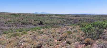 Secret Canyon Ranch -Mountain Off Grid Recreation Wildlife - image 1