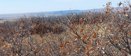 Secret Canyon Ranch -Mountain Off Grid Recreation Wildlife - image 9
