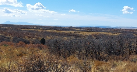 Secret Canyon Ranch -Mountain Off Grid Recreation Wildlife - image 2