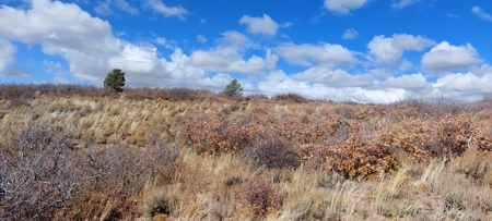 Secret Canyon Ranch -Mountain Off Grid Recreation Wildlife - image 6