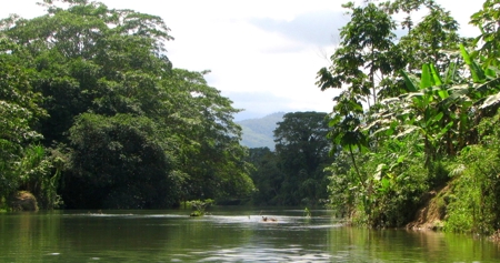 Stunning 54 Hectars Of Prestine Land In The Caribbean - image 15