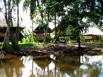 Stunning 54 Hectars Of Prestine Land In The Caribbean - image 4