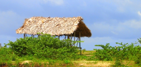 Stunning 54 Hectars Of Prestine Land In The Caribbean - image 9